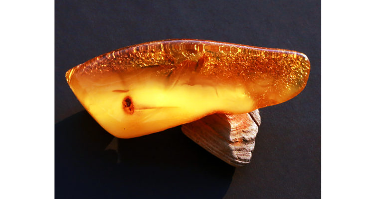 23.30ct miodowy rekinek